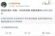 吃瓜娱乐胡先煦,揭秘娱乐圈背后的故事